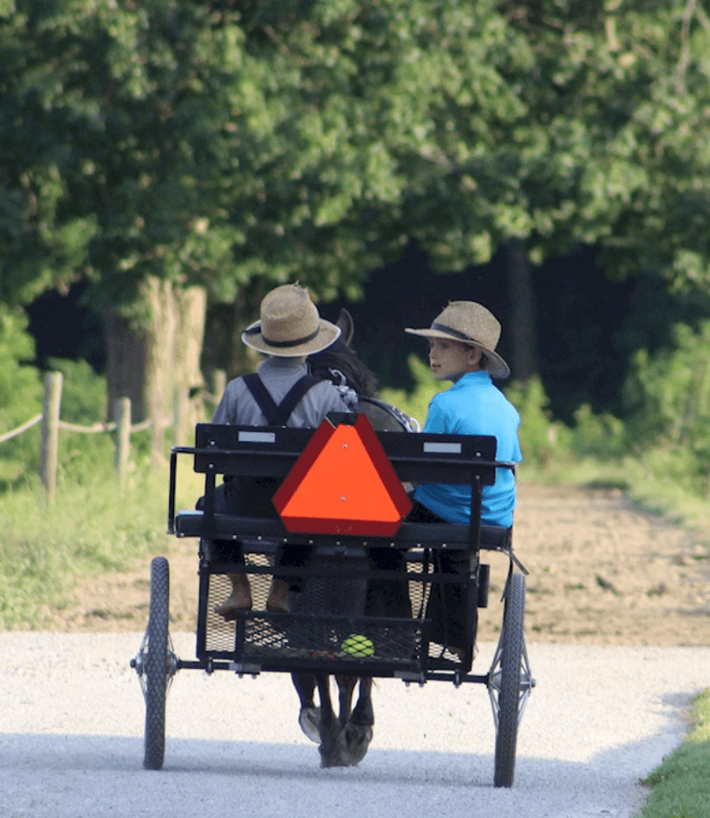 amish buggy